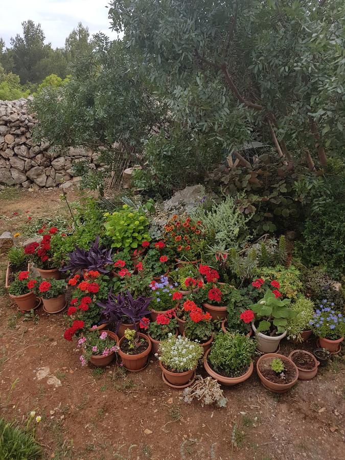 Apartma Luma 1 Hvar Town
